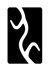 Partner 16